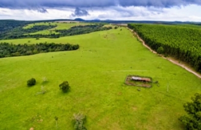 Fazenda para venda em Bofete